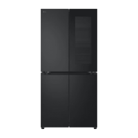 Холодильник LG GC-V22FFBMB