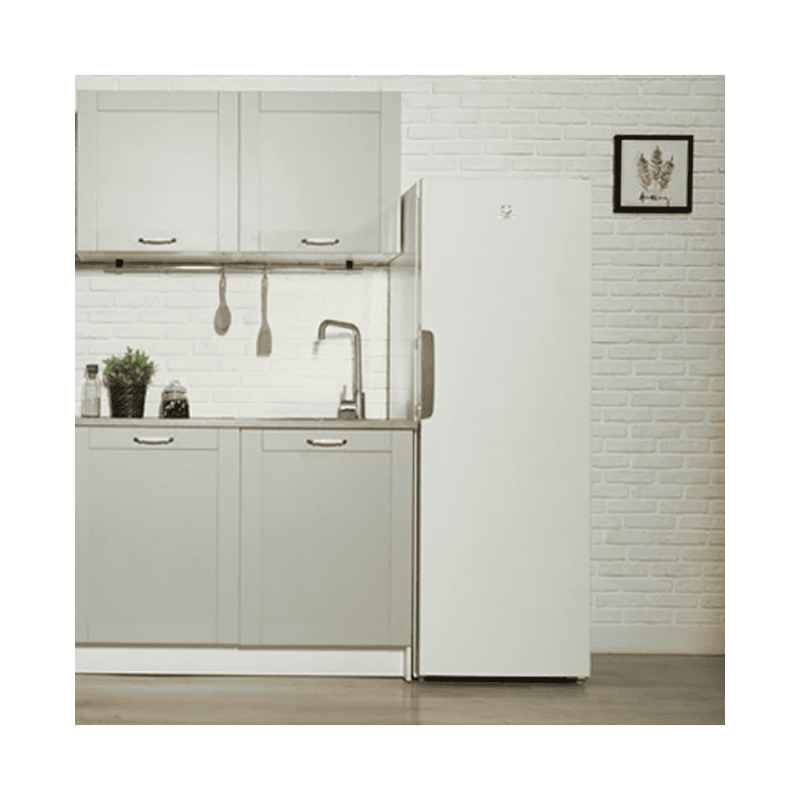 Вертикальный морозильник Indesit DSZ 5175 W